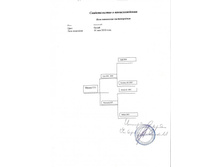 ������������� � ������������� 5