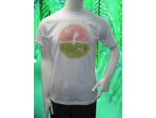 Rabbit.270 ���.