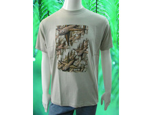 M1261.150 ���.