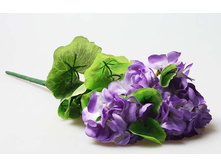 ������� ������ ����������.jpg