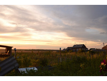 DSC_0294.JPG