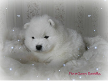 DSCN11931.jpg
