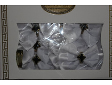 �������� ����� ����� ������ �������