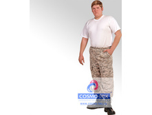 �� ����� �������, 290 �.