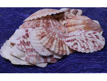 ����� ������� 2.jpg