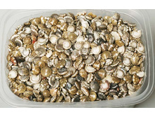 ����� �������4.jpg