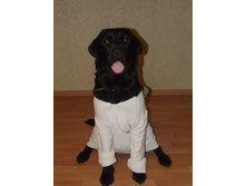 DSCF1394.JPG