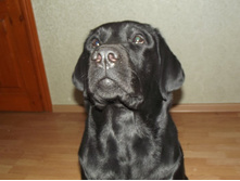 DSCF1417.JPG