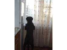 DSCF1419.JPG