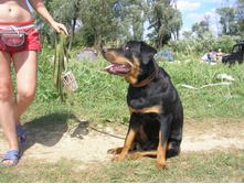 SANY0048.JPG
