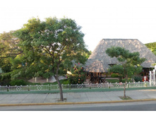 CIMG0602.JPG