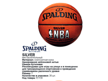 ��� ������������� Spalding  Silver IndoorOutdoor  1185p.png