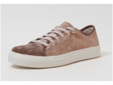 S*N*E 19 �������