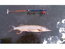 ������ ������!!!  29.12.2013�.