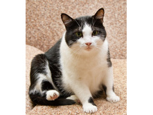 IMG_4644� �����.jpg