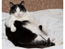 IMG_4665� �����.jpg