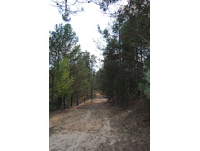 ������� 4