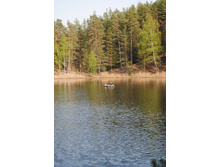 ������� 5