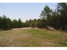 ������� 6