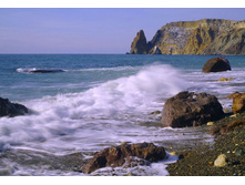4520710_large.jpg