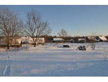 4520721_large.jpg