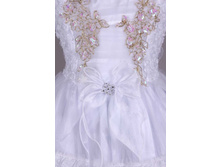 ���. MV16, ���� - �������, �������, �����.jpg