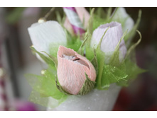 ����������� 033.jpg