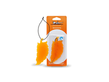 ���� 41 ���.