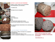 ����� ���������.png