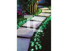 �� ������3.jpg