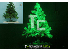 �� ��������3.jpg