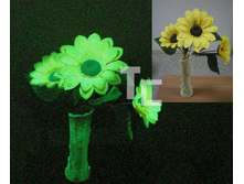 ��� ������.jpg