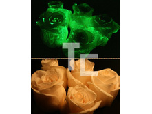 ��� ������2.jpg