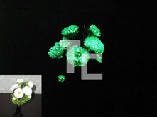 ��� ������3.jpg