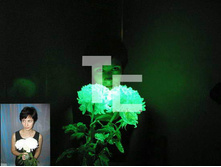 ��� ������4.jpg