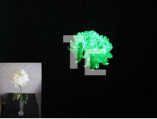 ��� ������5.jpg