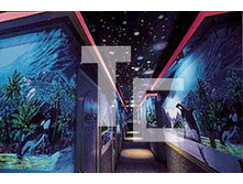 ���������� ����2.jpg