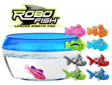 ���� -�����