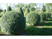 �������� ������������.jpg