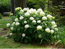 ��������� ����������� �������.JPG