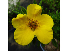 �������� ������������� ����������(����� �����-������).jpg