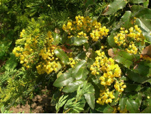 ������� �������������.jpg