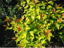 ������������� ������������� ������.jpg