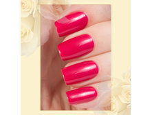 Active Bio-gel № 423/12