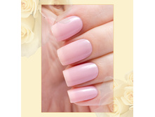 Active Bio-gel №423/52