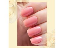 Active Bio-gel №423/53