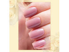 Active Bio-gel №423/55