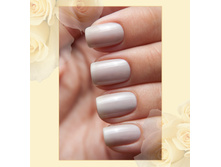 Active Bio-gel Jelly № 423/56