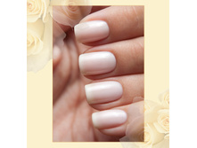 Active Bio-gel Jelly № 423/57