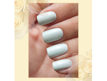 Active Bio-gel Jelly № 423/58